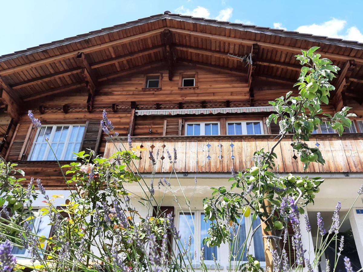 Cozy Chalet By Interlaken. Parking Apartment Ringgenberg Ngoại thất bức ảnh